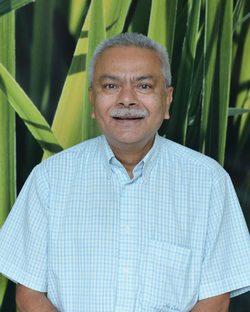 Doctor Team - Dr Pramod Giri Doctor Team - Dr Pramod Giri